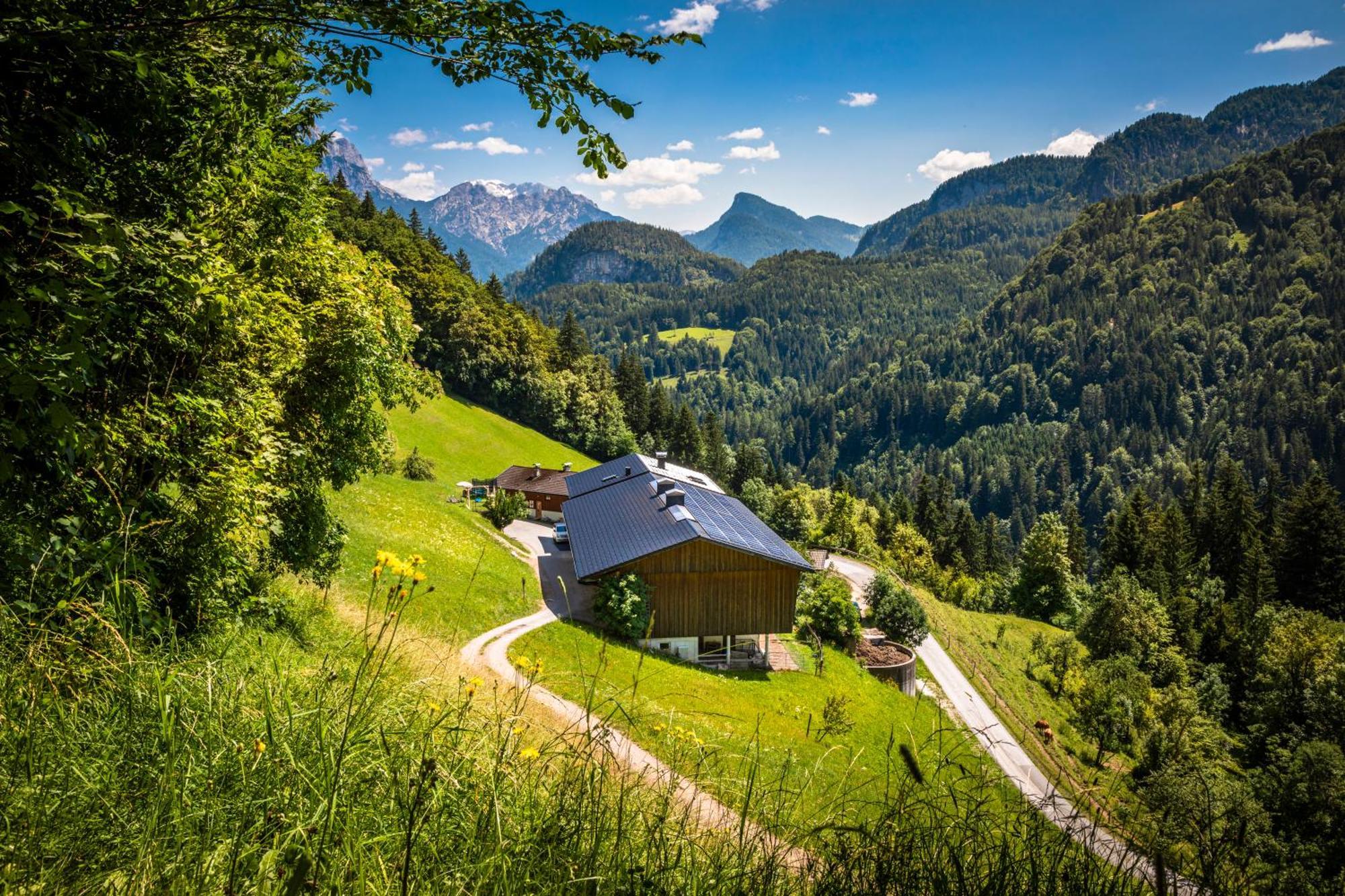Appartement Biobauernhof Schneiderbauer à Unken Extérieur photo